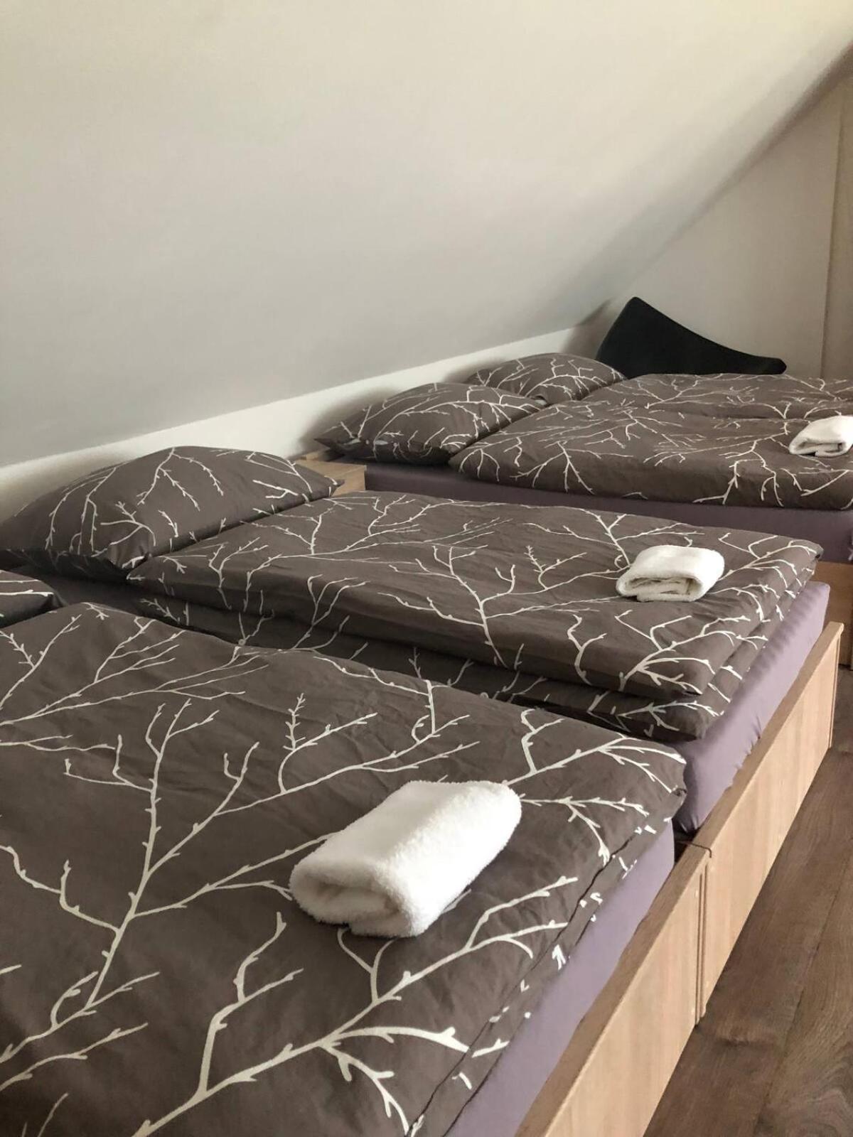 Wellness Hotel Orlik Kozarovice المظهر الخارجي الصورة